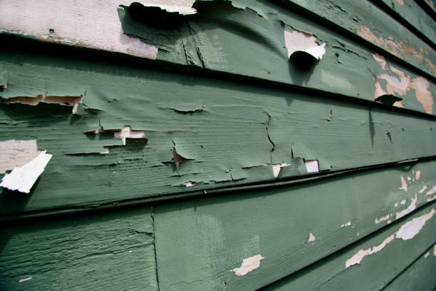 Best Property Management Cleanouts  in Golden Meadow, LA