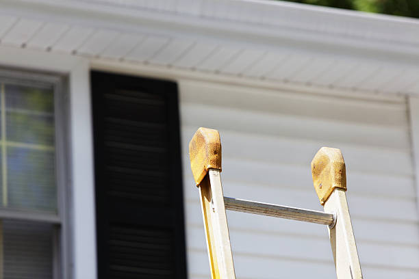 Best Demolition Debris Removal  in Golden Meadow, LA